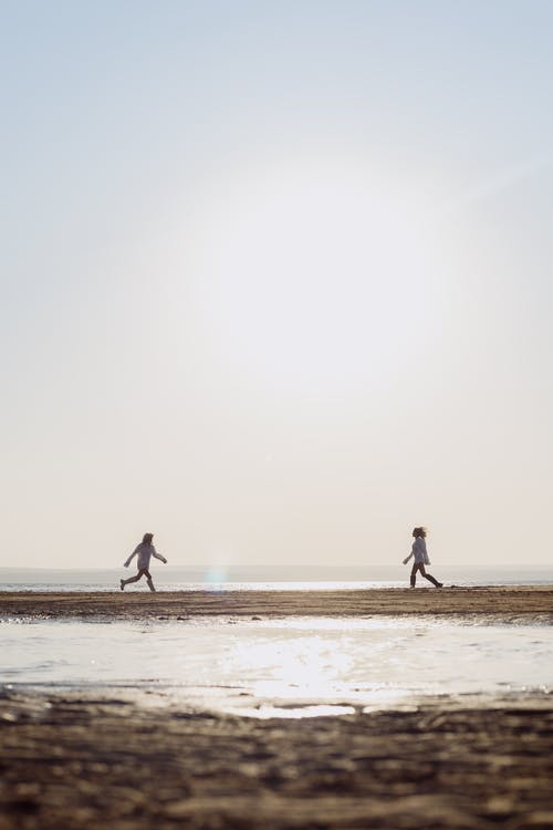 有关Copyspace, 垂直拍摄, 太阳的免费素材图片