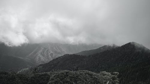 图聚科技