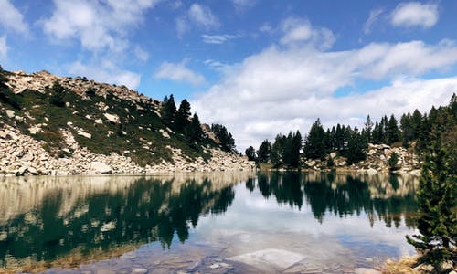 来自 Carolina 的免费素材图片 · Pexels