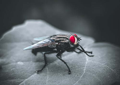 图聚科技