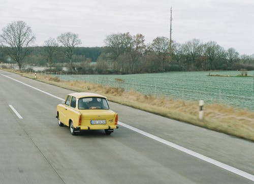 有关后视图, 樹木, 歷史的免费素材图片