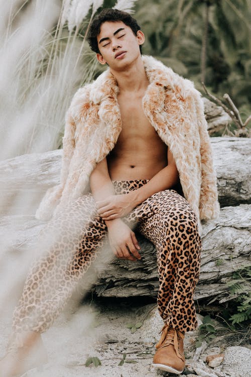 有关人, 創造力, 动物主题的免费素材图片