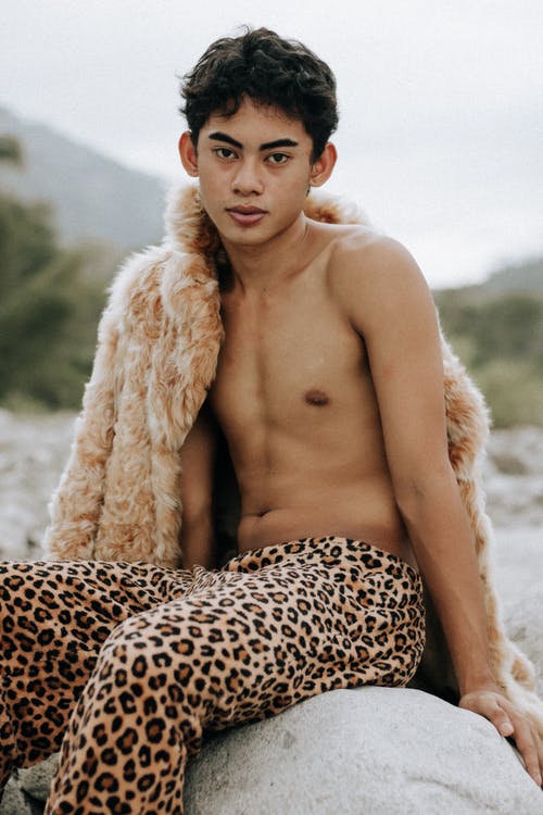 有关人, 創造力, 动物主题的免费素材图片