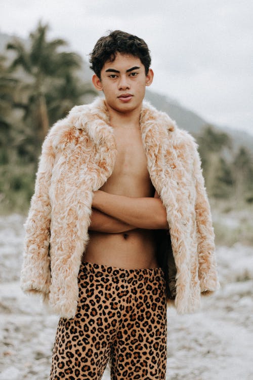 有关人, 創造力, 动物主题的免费素材图片