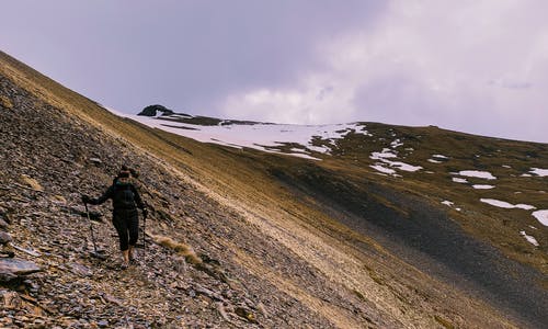 来自 Carolina 的免费素材图片 · Pexels