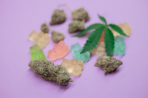 图聚科技