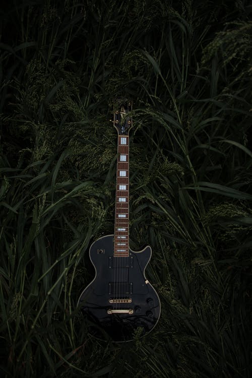 有关創造力, 垂直拍摄, 天性的免费素材图片