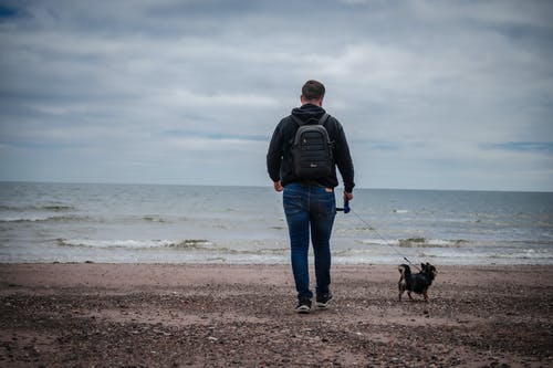 有关人, 伴侶, 寵物的免费素材图片