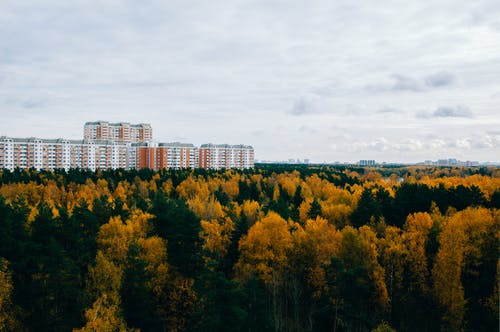 有关Copyspace, 住宅大楼, 城市的免费素材图片