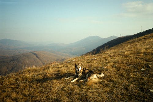 有关35毫米, 35毫米胶片, 丘陵的免费素材图片