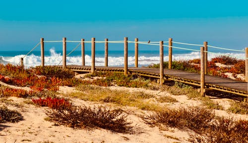 有关大西洋, 梨子, 沙滩的免费素材图片