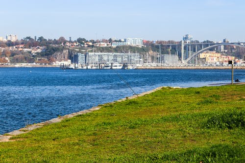 有关捕鱼装置, 等待咬一口, 釣魚的免费素材图片