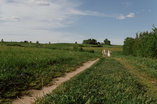 有关一對, 人, 地面道路的免费素材图片