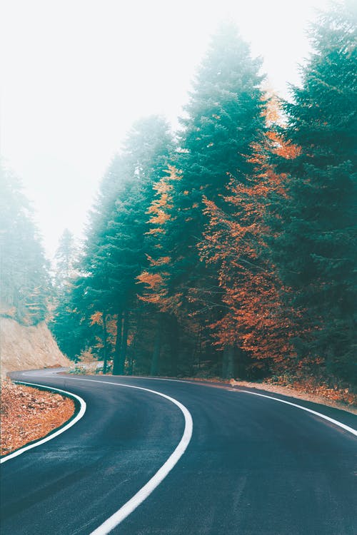 有关原本, 垂直拍摄, 弯曲的道路的免费素材图片