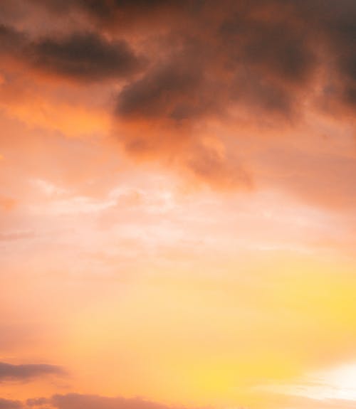 有关垂直拍摄, 天空, 日出的免费素材图片