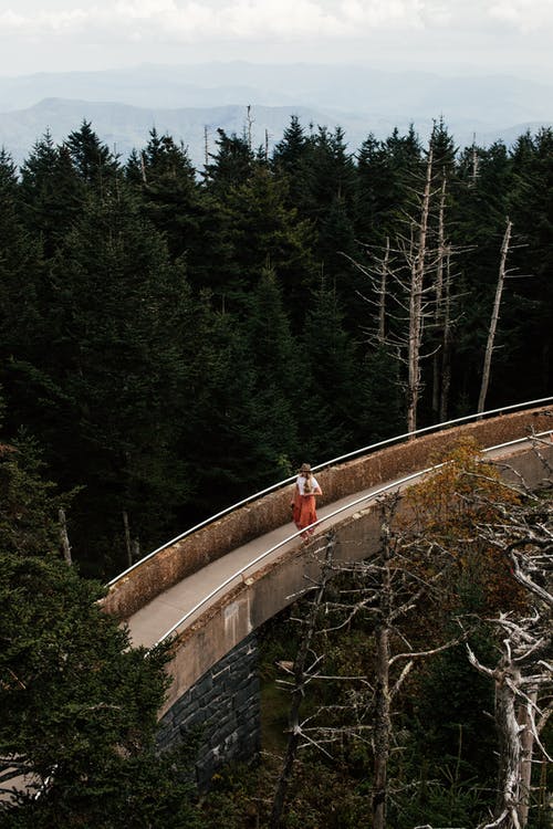 有关人行天橋, 垂直拍摄, 棕櫚樹的免费素材图片