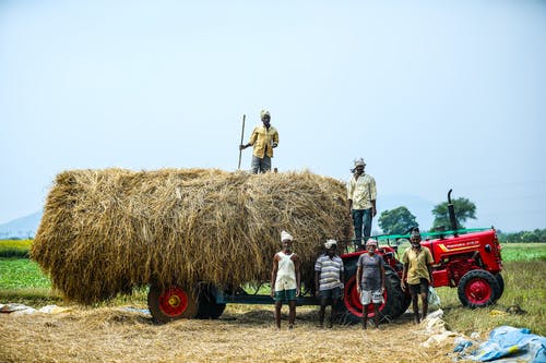 有关下田, 农民, 拖拉機的免费素材图片
