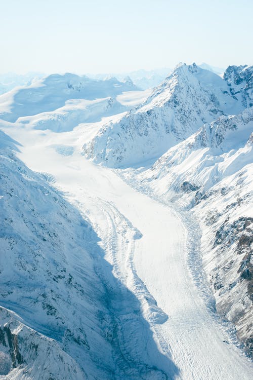 有关冬季, 垂直拍摄, 大雪覆盖的免费素材图片