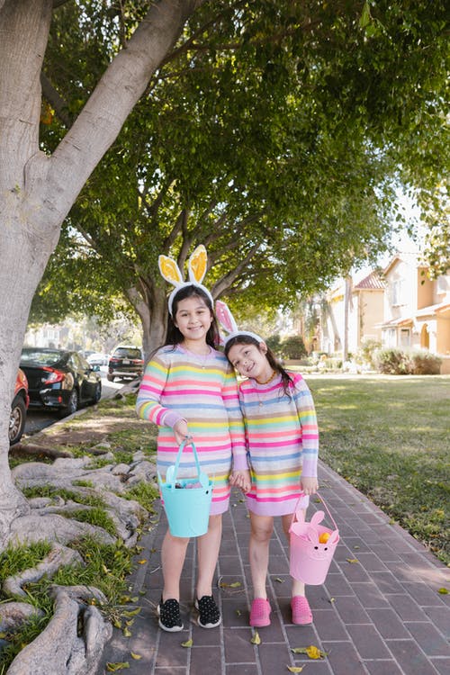 有关兔子耳朵, 全景, 可愛的免费素材图片