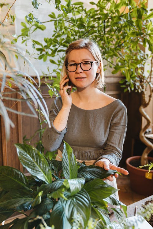 有关修剪花草, 园丁, 圍裙的免费素材图片