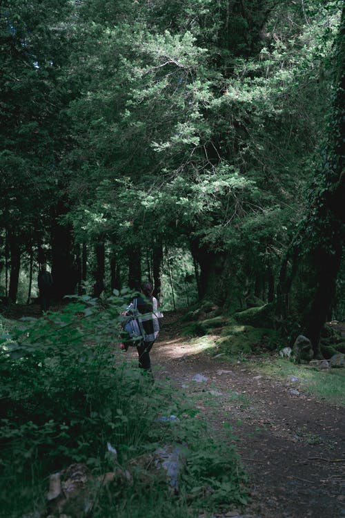 有关人行道, 冒險, 垂直拍摄的免费素材图片