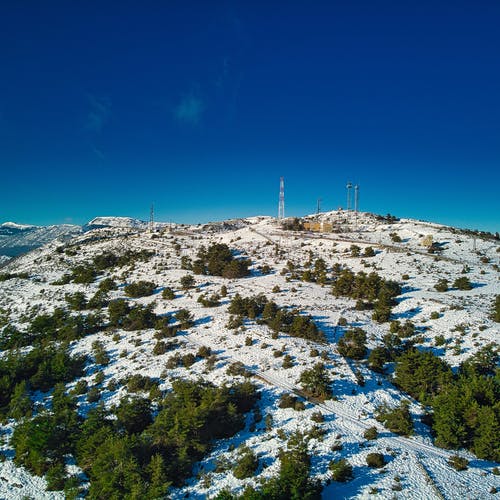 有关冬季, 垂直的, 天性的免费素材图片