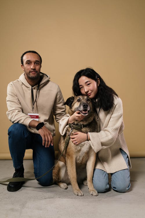 有关伴侶, 動物, 動物的鼻子的免费素材图片