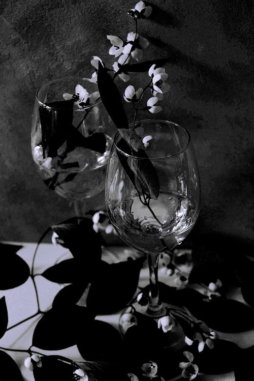 透明酒杯用水的灰度照片 · 免费素材图片