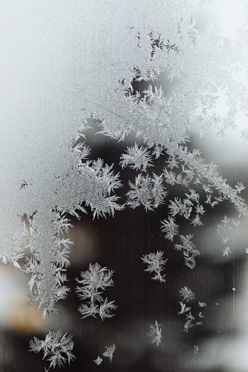 有关冷冰冰, 冷冰的, 凍結的的免费素材图片