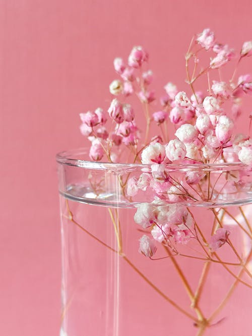 有关垂直拍摄, 壁紙, 水的免费素材图片