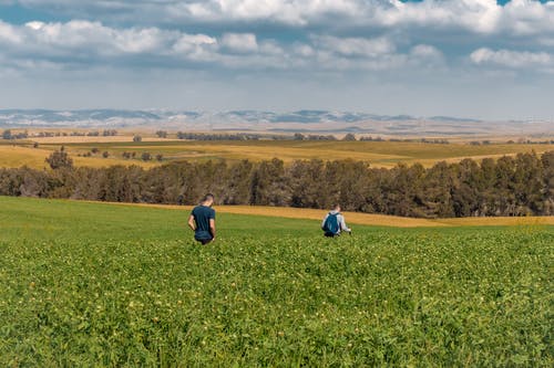 有关不露面, 休閒, 光的免费素材图片