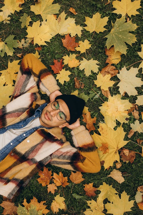 有关休息, 垂直拍摄, 枯葉的免费素材图片