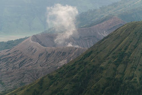 有关天性, 抽煙, 樹木的免费素材图片