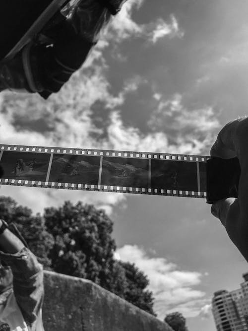 有关單色, 垂直拍摄, 握住的免费素材图片