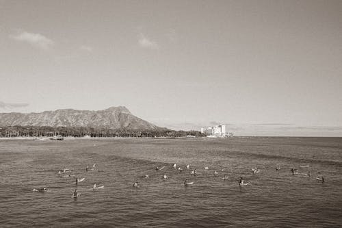 有关休閒, 天性, 天空的免费素材图片