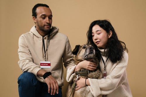 有关伴侶, 動物, 動物的鼻子的免费素材图片