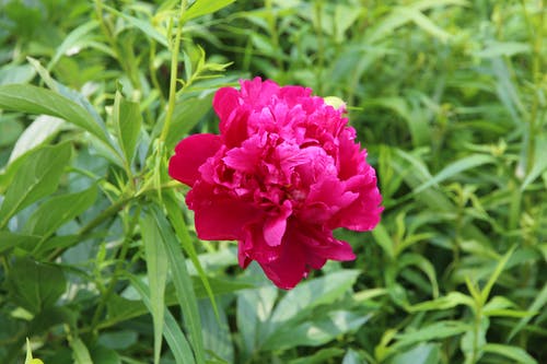 有关傾斜移位, 工厂, 景深的免费素材图片