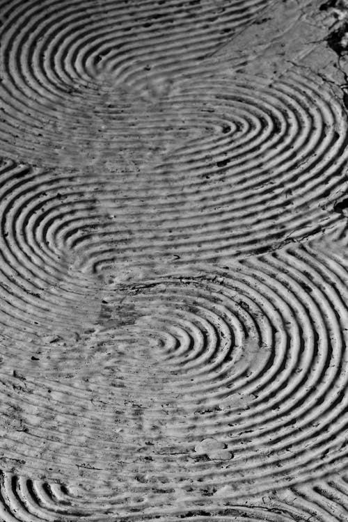 来自 Serinus 的免费素材图片 · Pexels