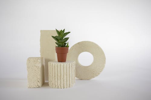 有关圓形, 小販, 工厂的免费素材图片