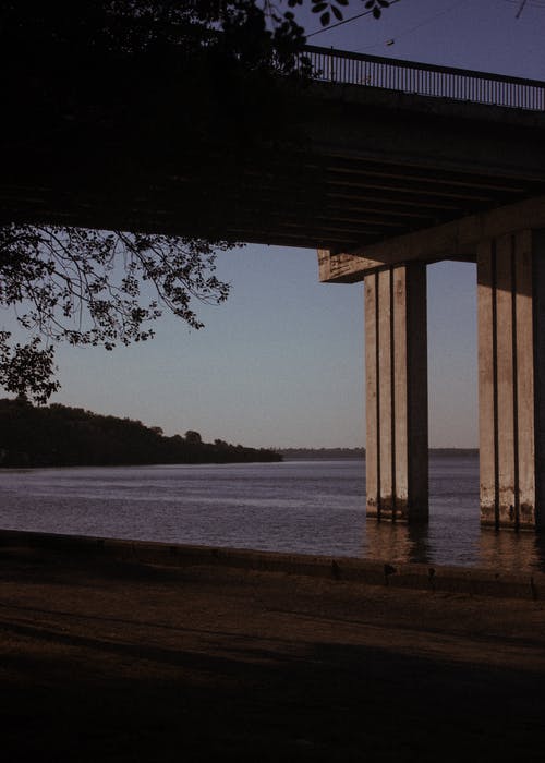 有关傍晚天空, 剪影, 垂直拍摄的免费素材图片