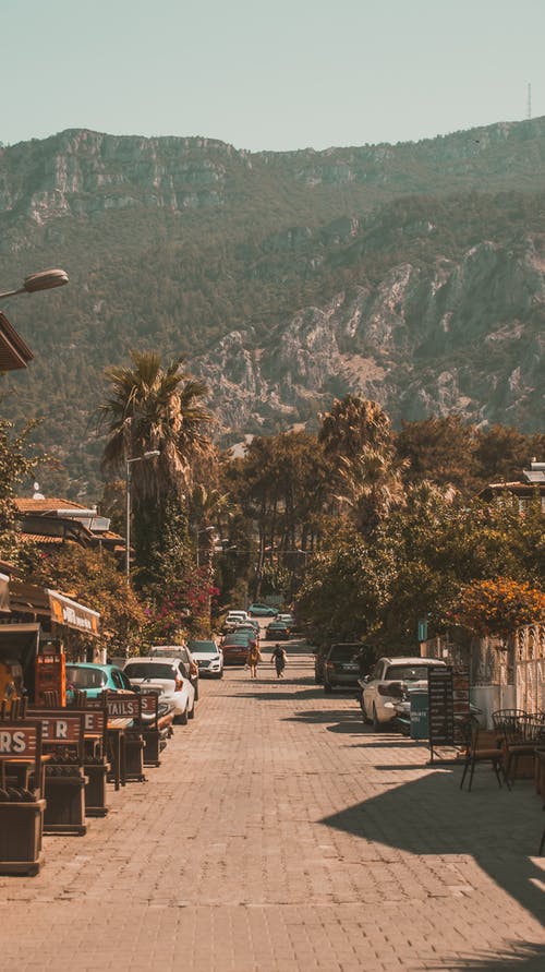 有关停, 垂直拍摄, 樹木的免费素材图片