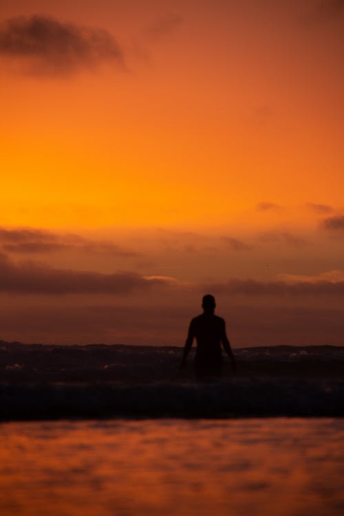 有关剪影, 垂直拍摄, 日出的免费素材图片