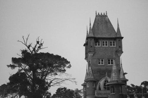 有关單色, 城堡, 塔的免费素材图片