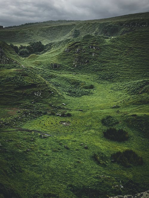 绿草地 · 免费素材图片