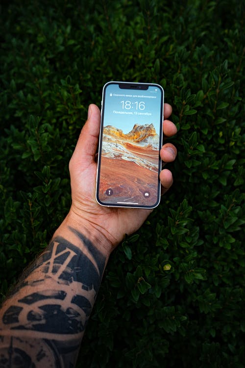 有关刺青的, 垂直拍摄, 握住的免费素材图片