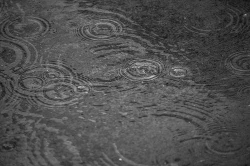 有关水, 水坑, 灰階的免费素材图片