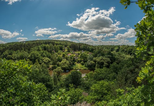 有关丘陵, 樹木, 無人空拍機的免费素材图片