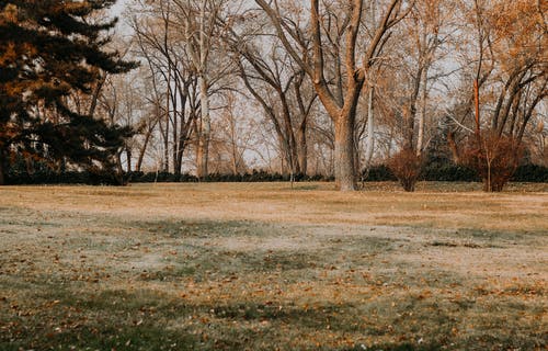 有关atmosfera de outono, 公園, 原本的免费素材图片