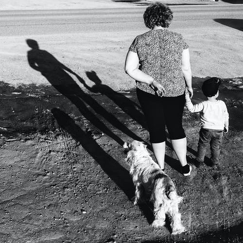 有关兒童, 女人, 寵物的免费素材图片