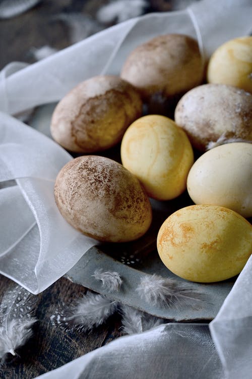 有关垂直拍摄, 塵土, 家禽的免费素材图片